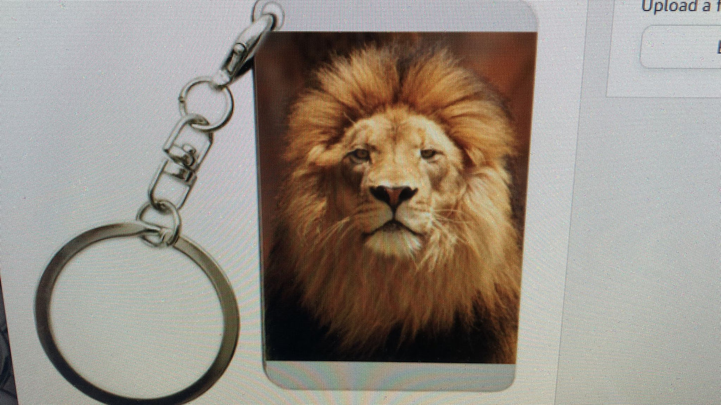 LION KEY CHAIN image 0