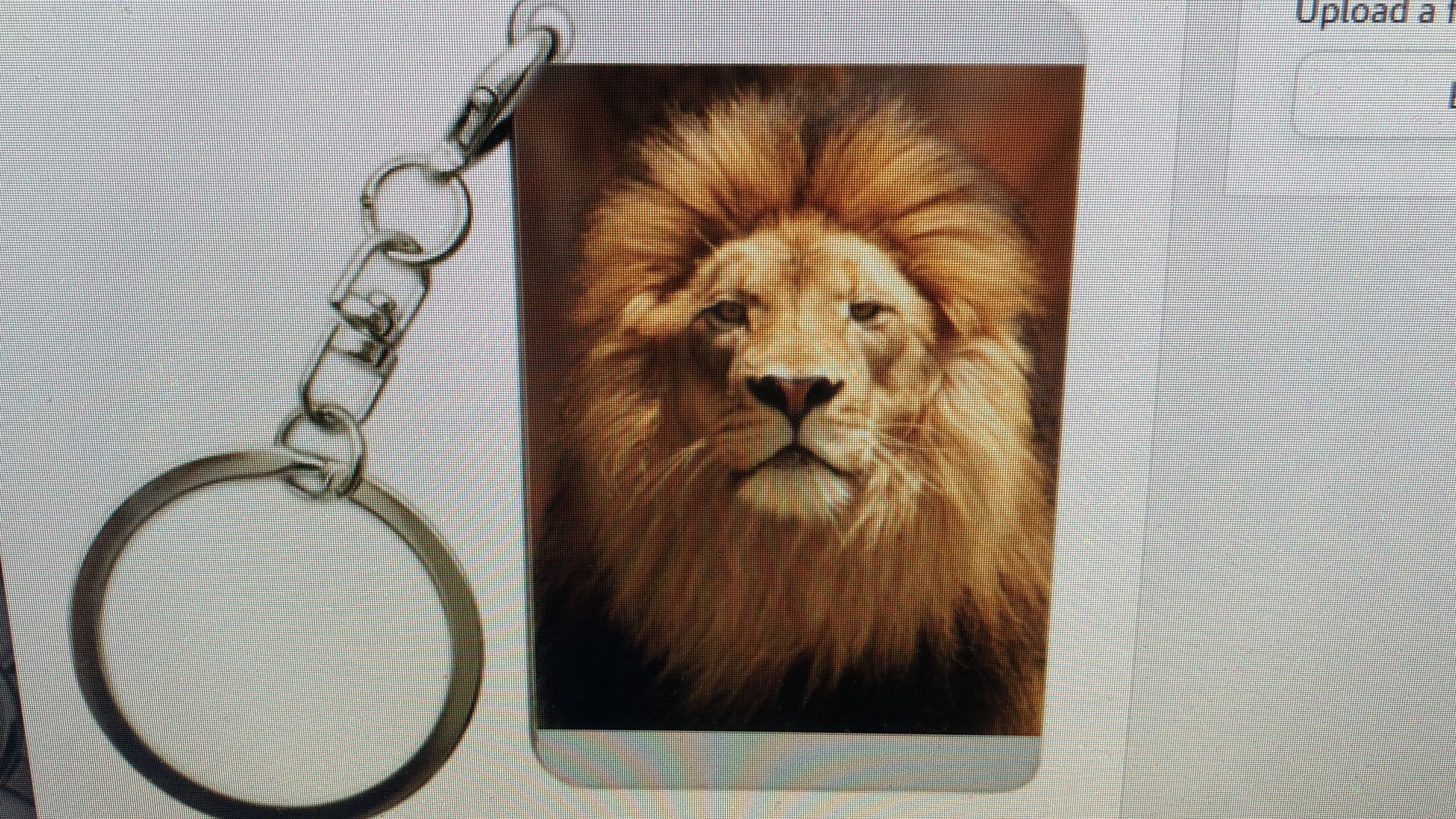 LION KEY CHAIN image 0